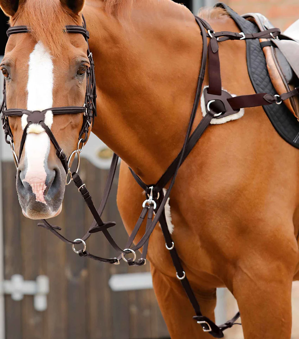 سینهبند ۵ نقطهای Premier Equine مدل تمامقد — 2