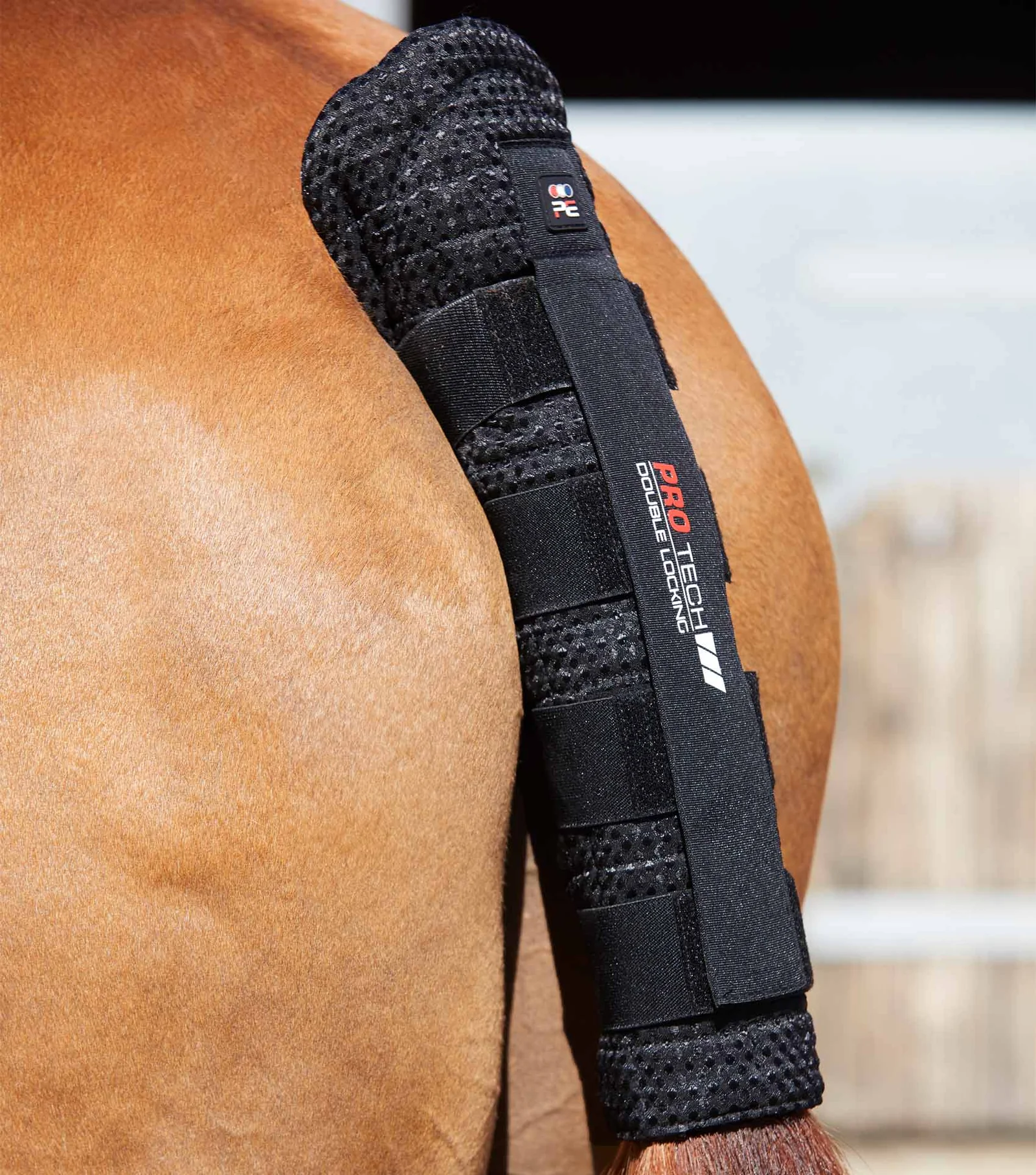 محافظ دم اسب Premier Equine با کاپیتونه وافلی و قفل دوگانه