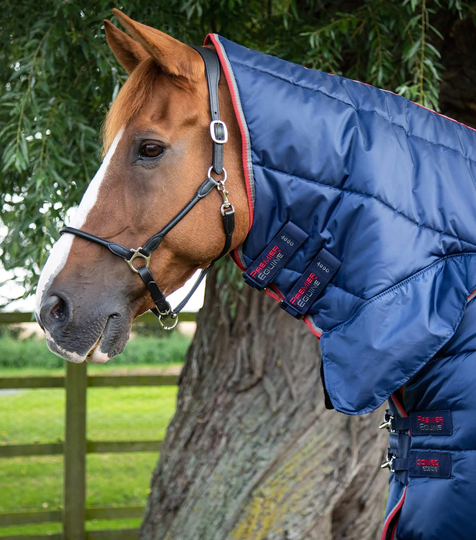 پتوی اصطبلی Premier Equine مدل کمبو — 3