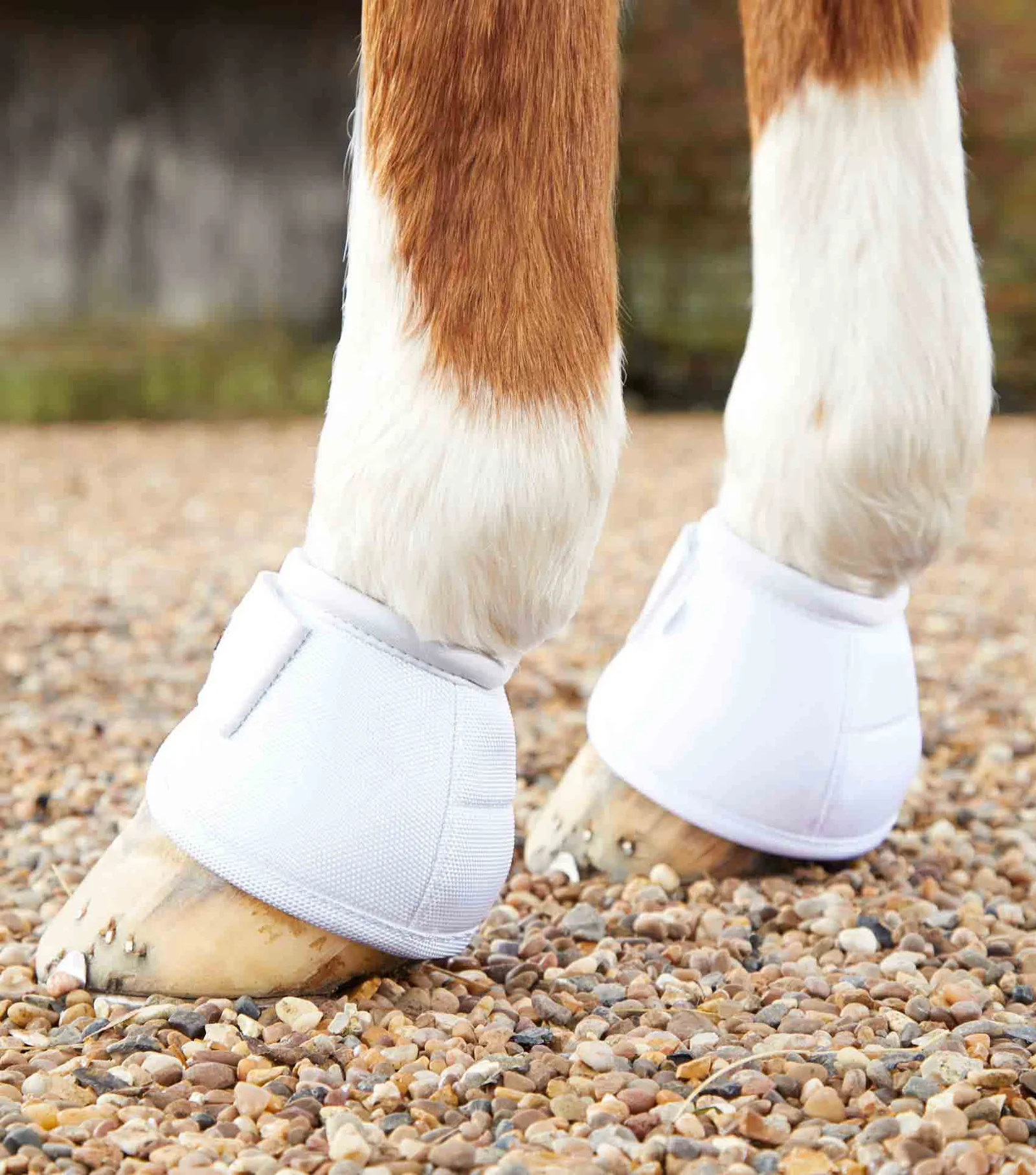 گتر بالستیک ضد چرخش Premier Equine — 2