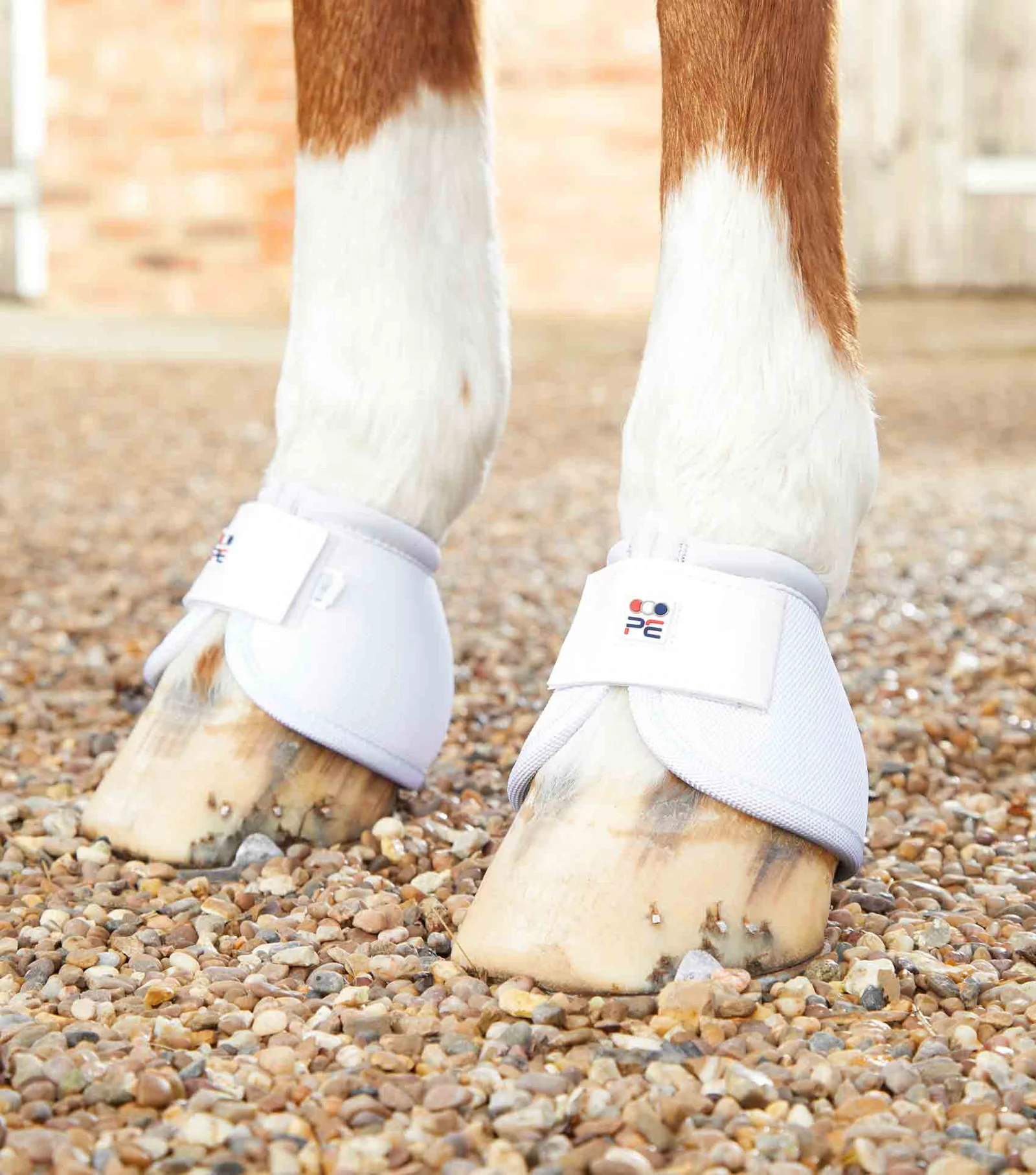 گتر بالستیک ضد چرخش Premier Equine — 4