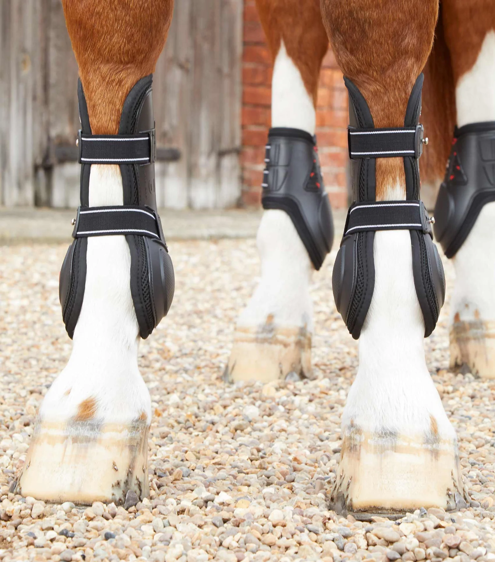 گتر تاندون پونی Premier Equine — 5