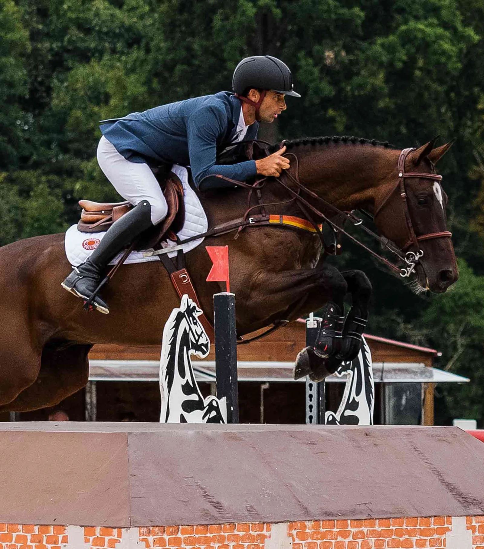 گتر تاندون پونی Premier Equine — 2