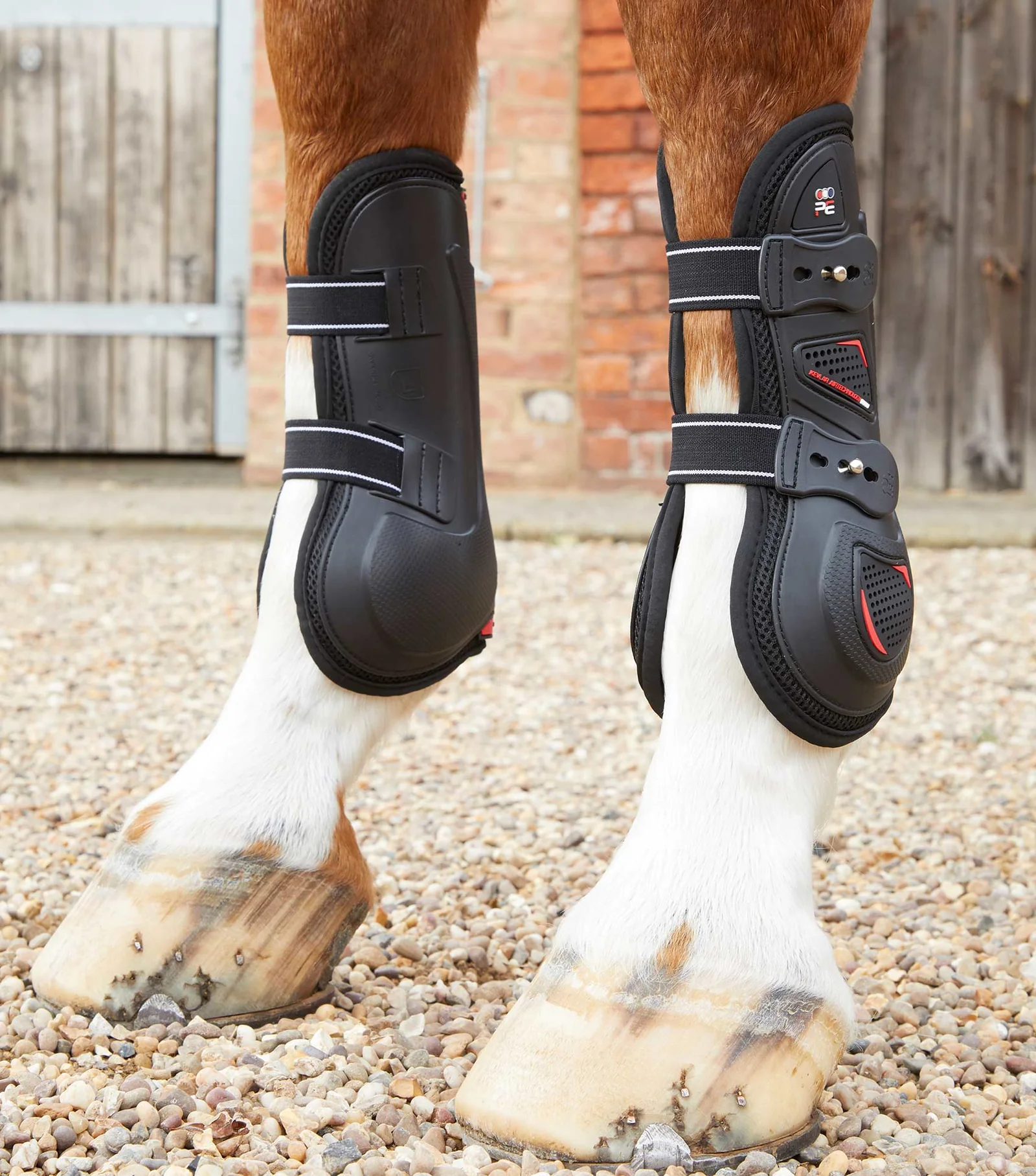 گتر تاندون پونی Premier Equine