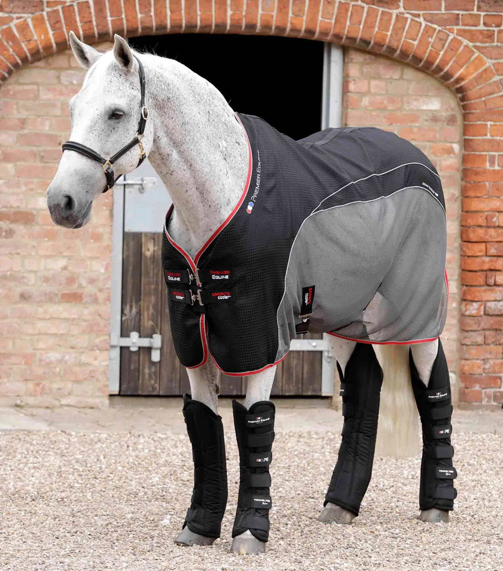 چکمه سفری Premier Equine مدل Extra — 4