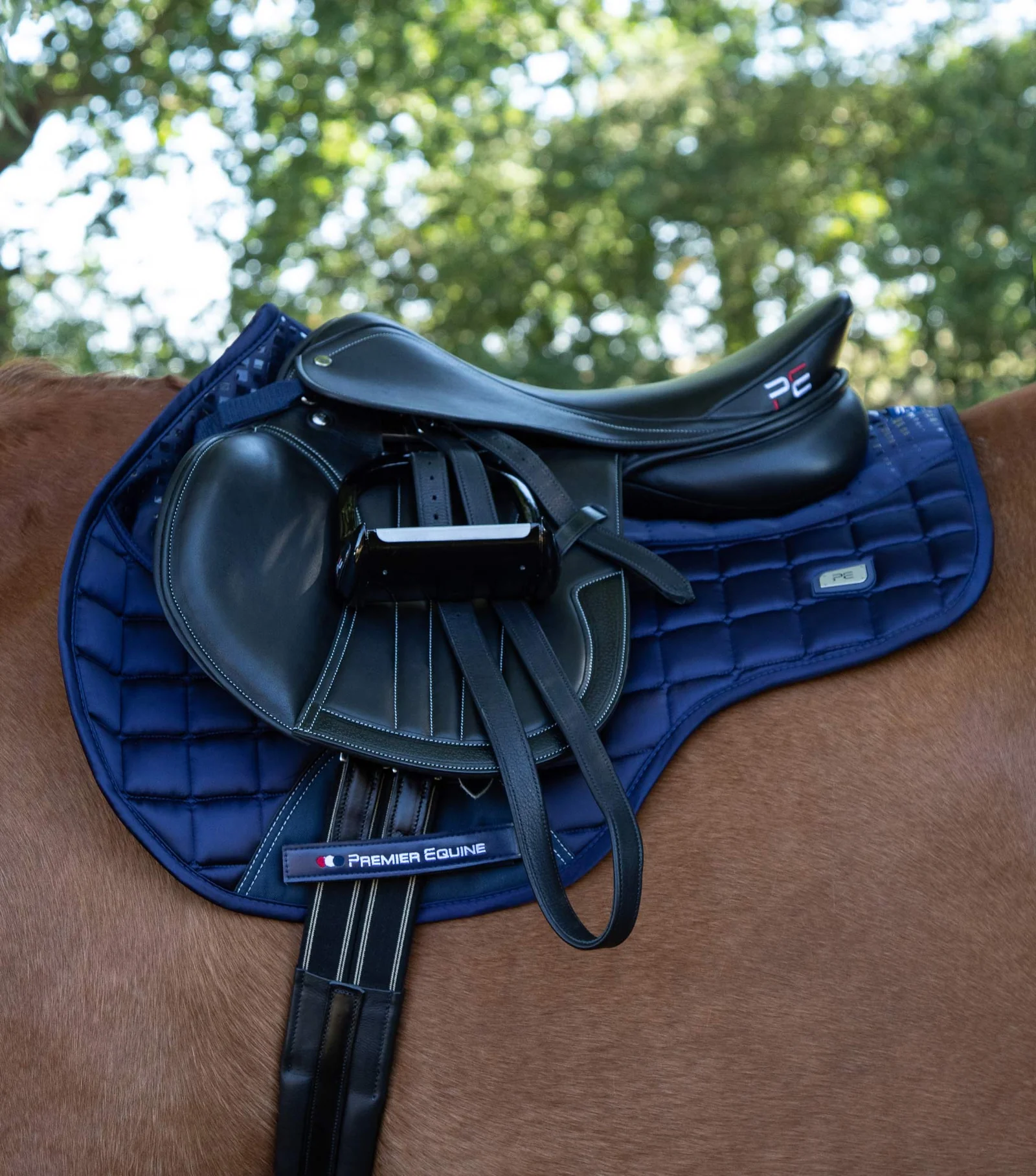 زیرزین Premier Equine مدل Armada — 6