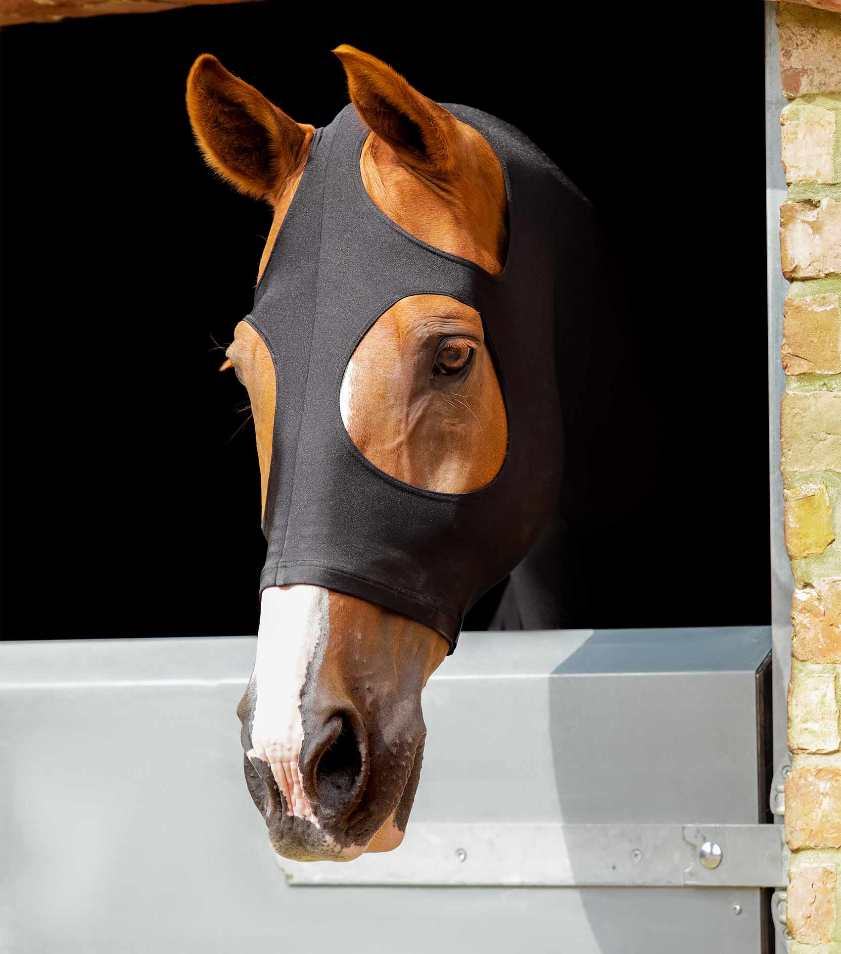 هود لیکرا کششی اسب Premier Equine — 4