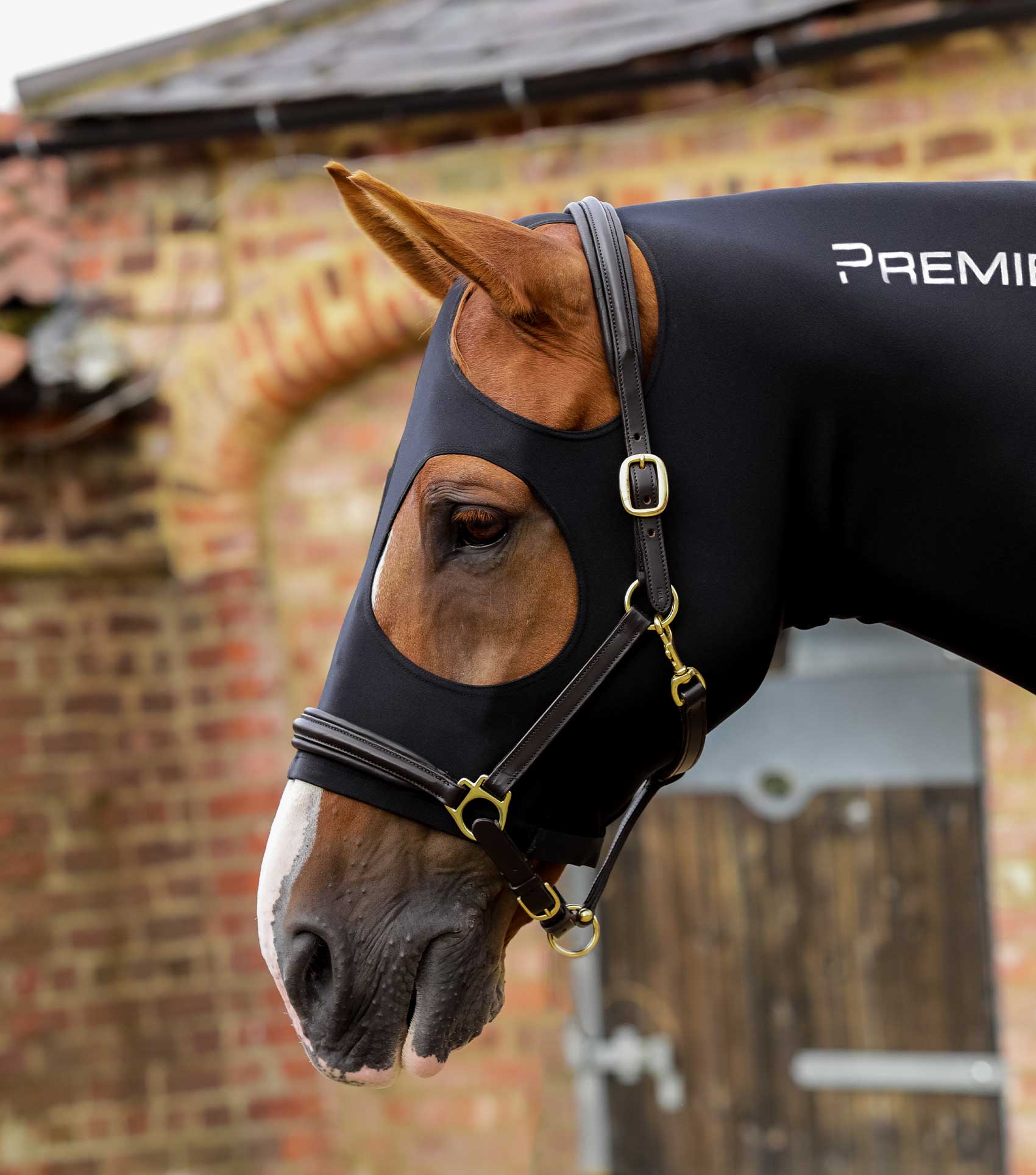 هود لیکرا کششی اسب Premier Equine — 2