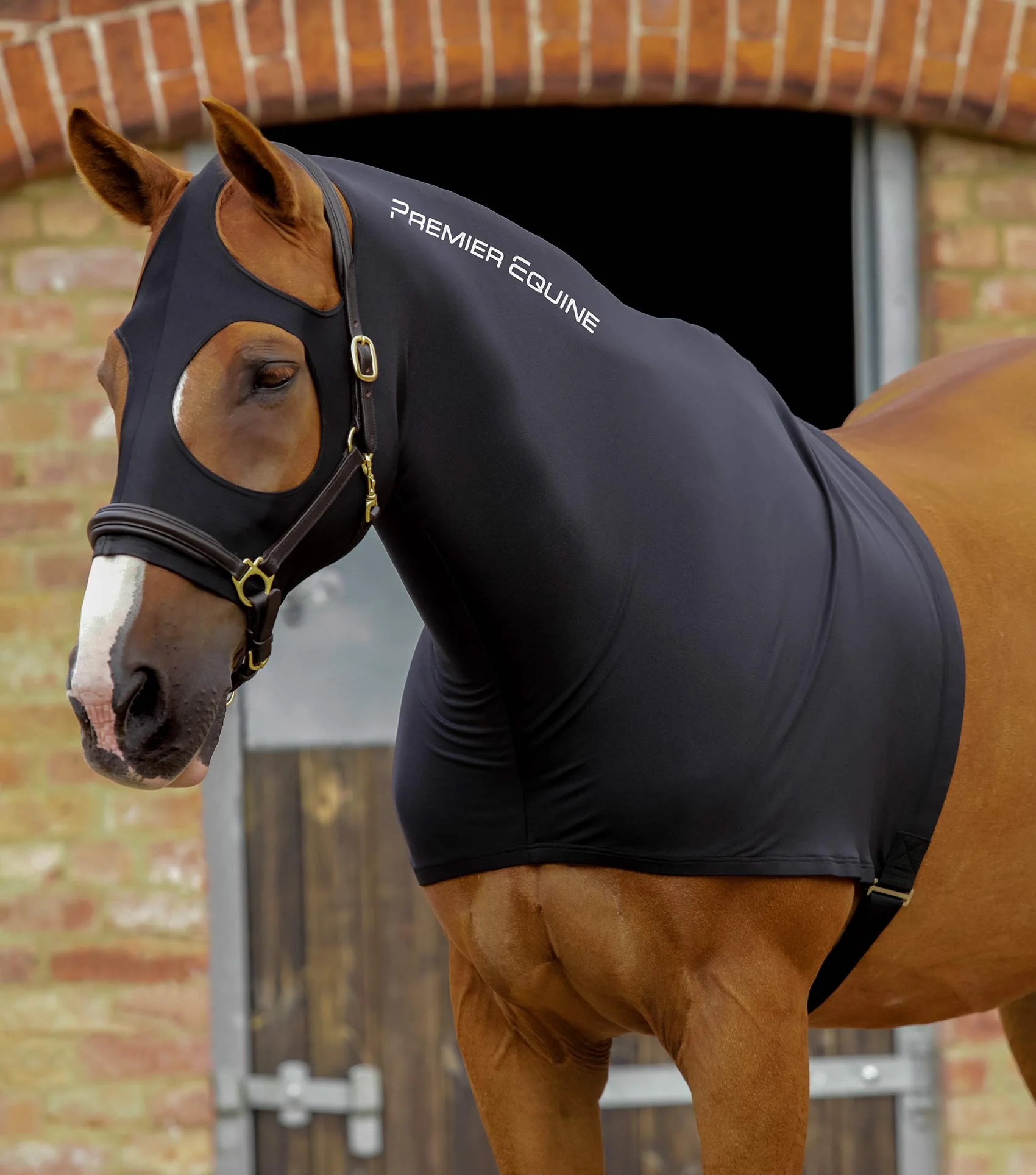 هود لیکرا کششی اسب Premier Equine