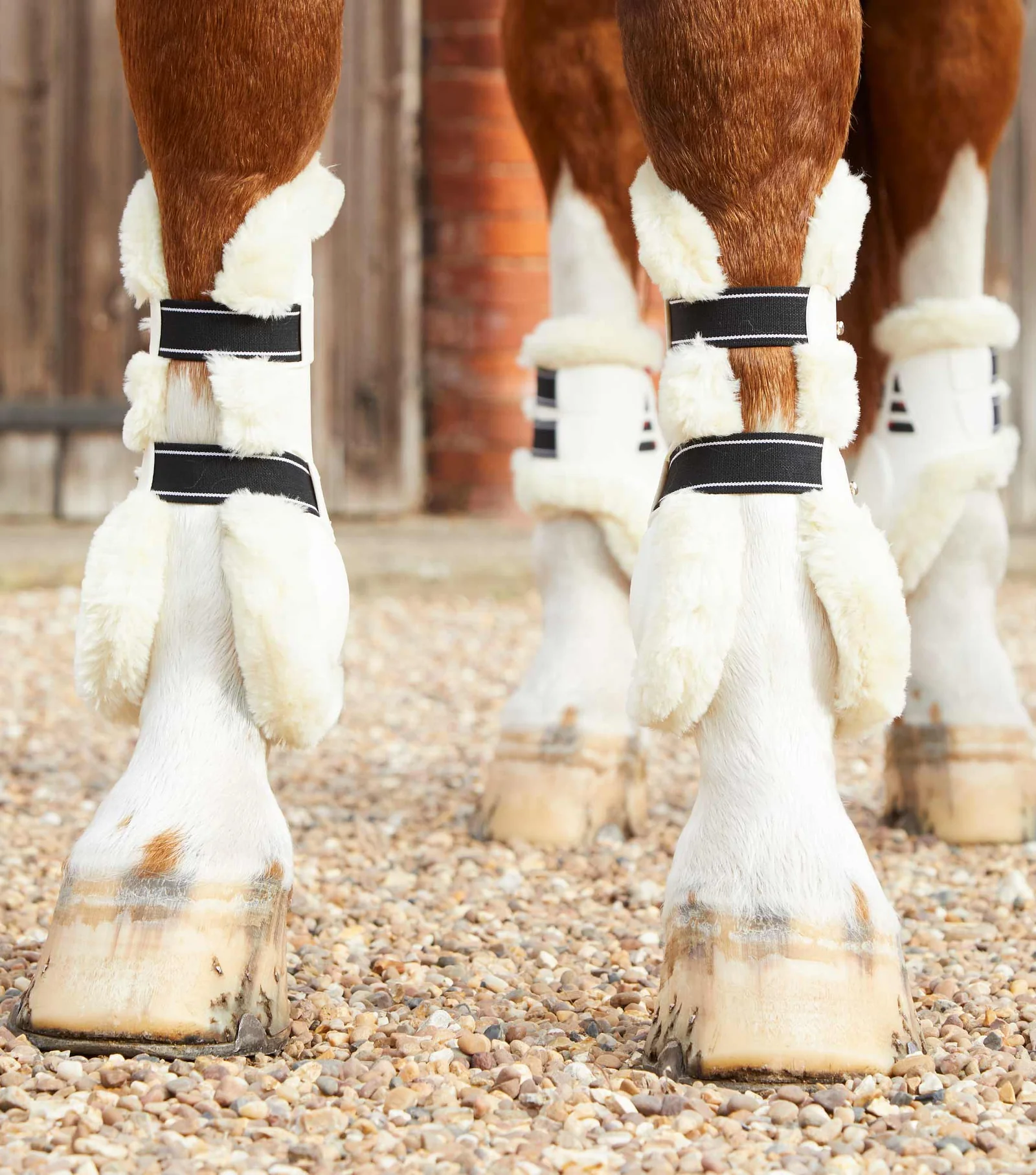 بوت تاندون تکنو وول Premier Equine مدل سایز L — 6