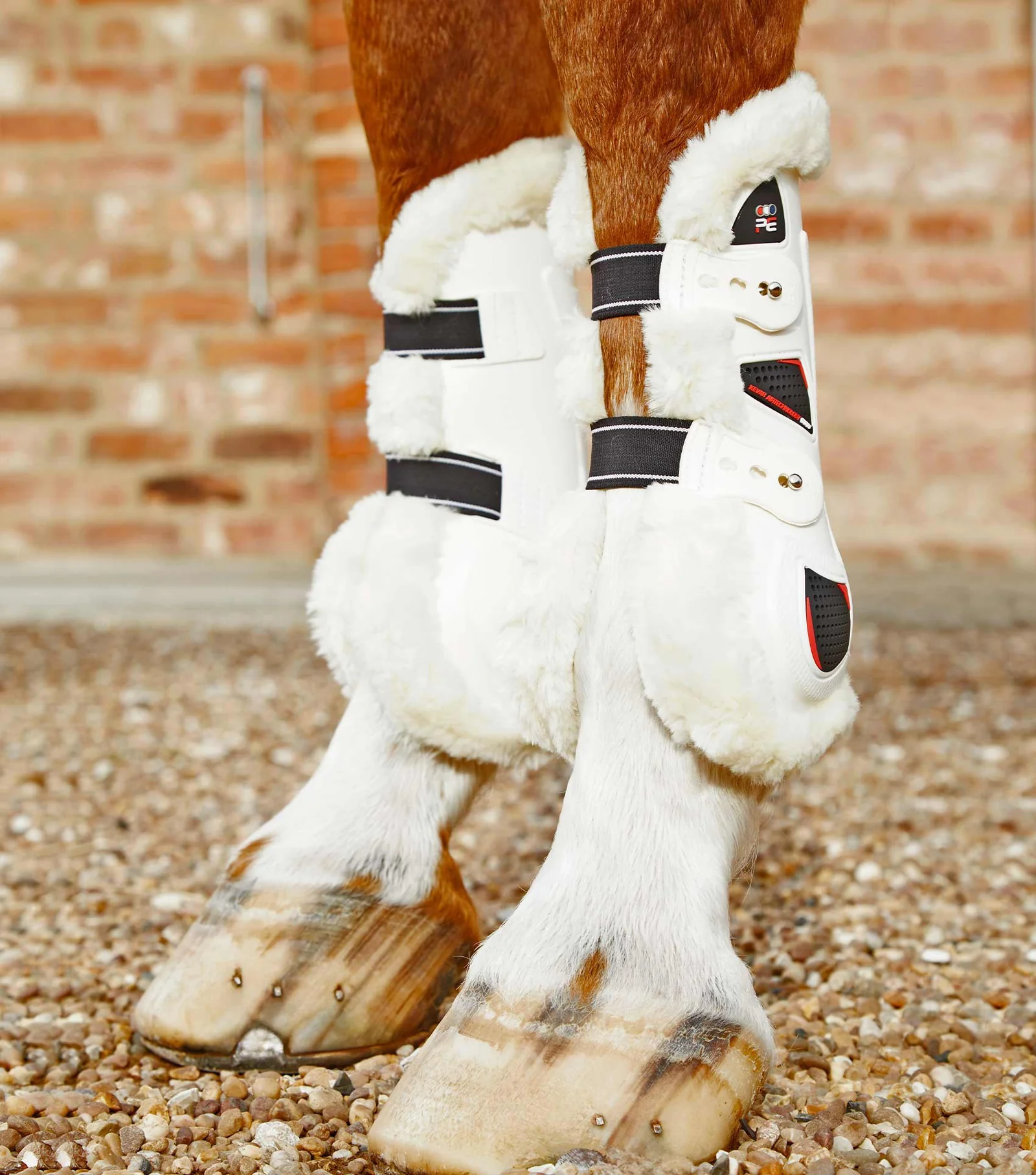 بوت تاندون تکنو وول Premier Equine مدل سایز L — 7