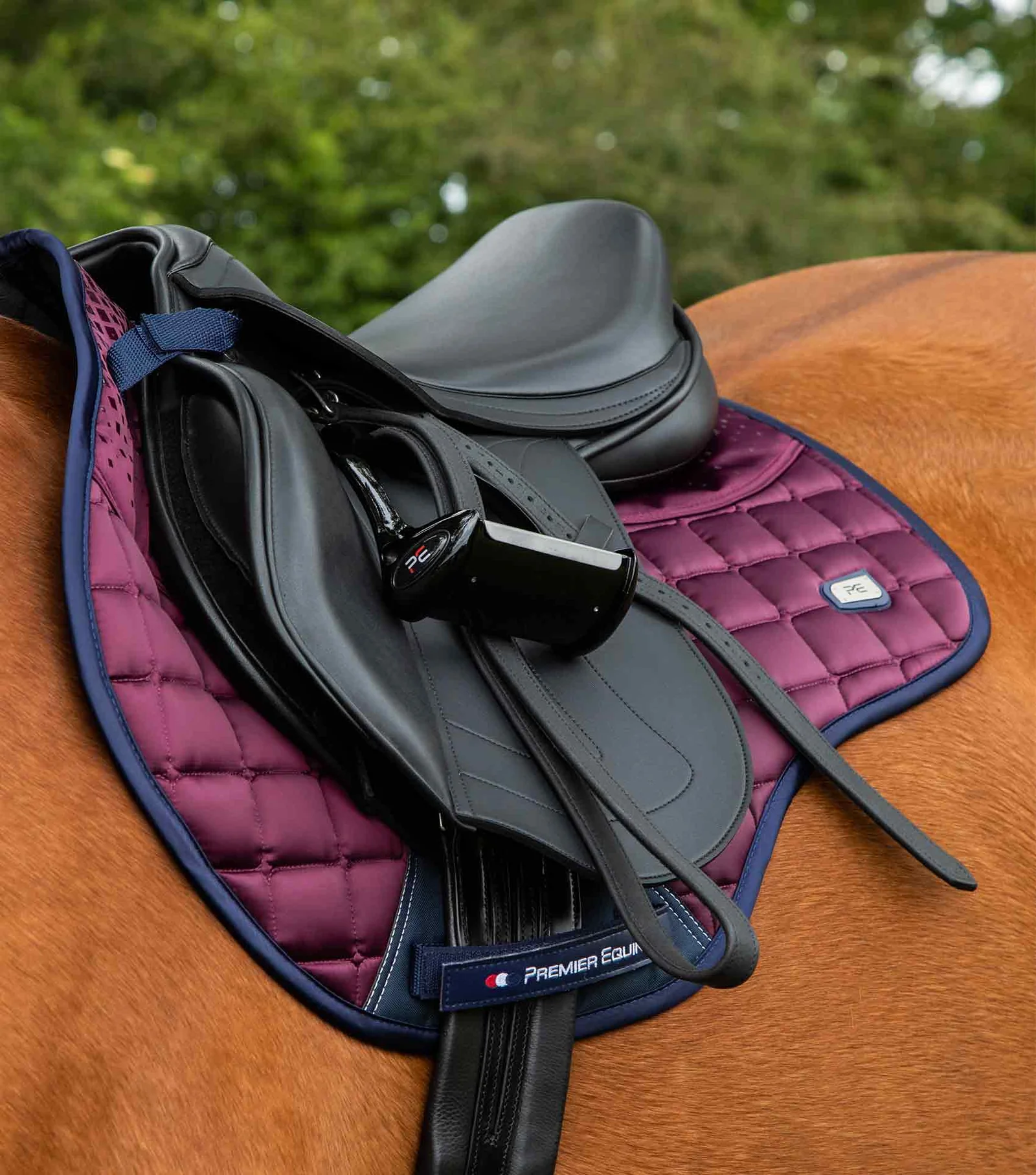 زیرزین Premier Equine مدل Armada