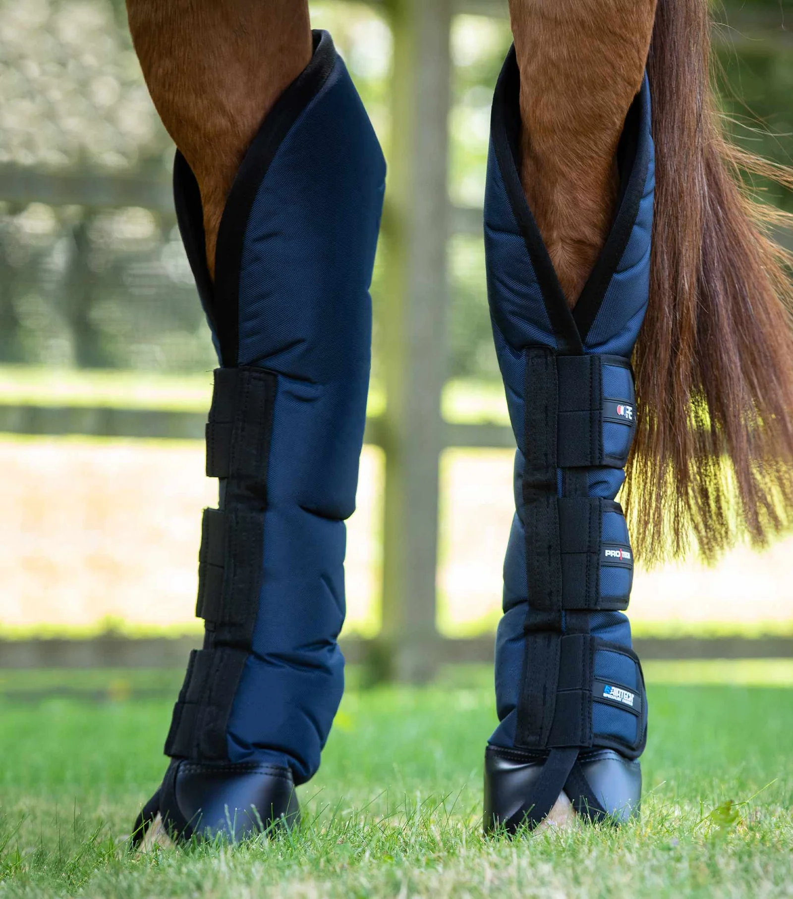 چکمه سفری زانویی Premier Equine مدل Ballistic Knee Pro-Tech — 5