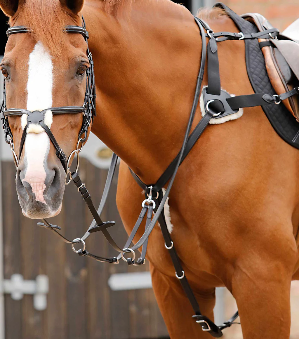 سینهبند ۵ نقطهای Premier Equine مدل مشکی سایز کامل — 4