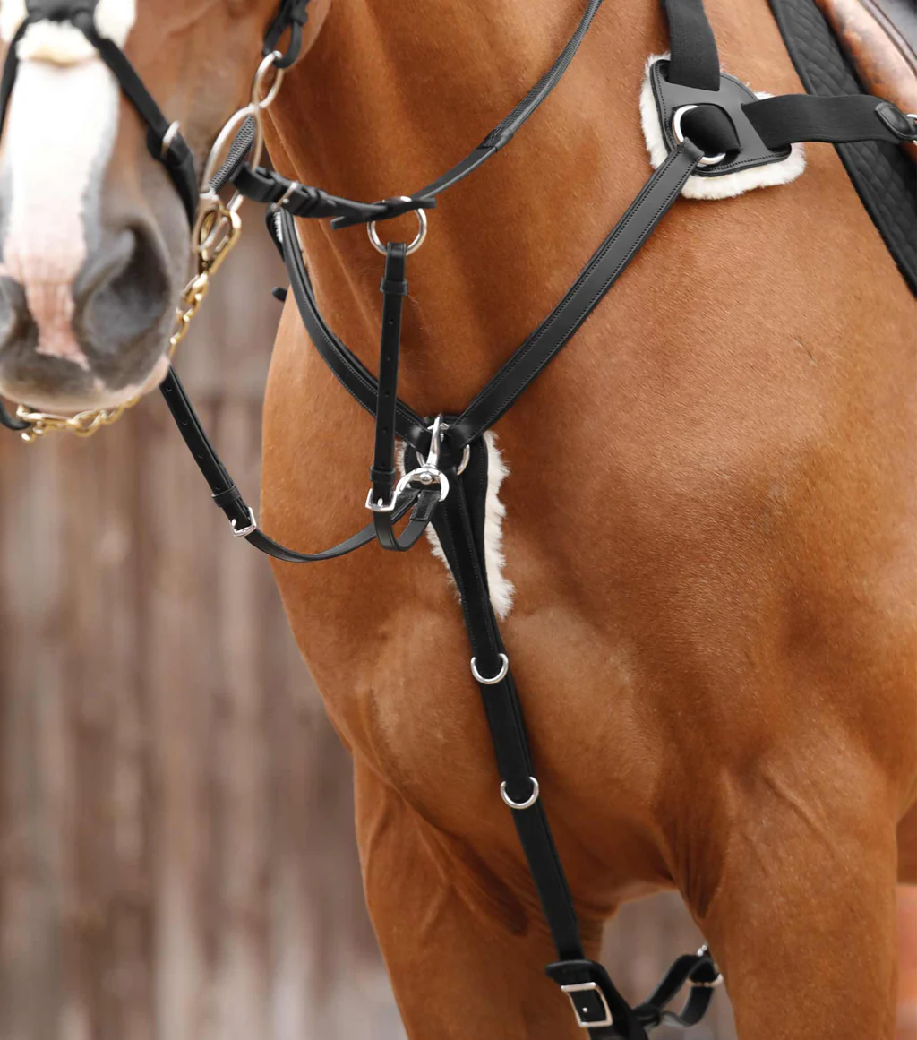 سینهبند ۵ نقطهای Premier Equine مدل مشکی سایز کامل — 5