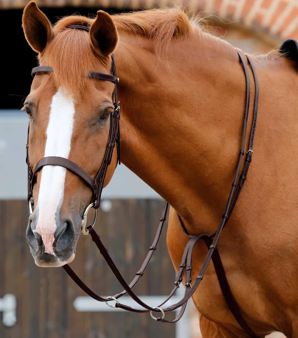 مارتینگل کشویی قابل تنظیم Premier Equine — 3