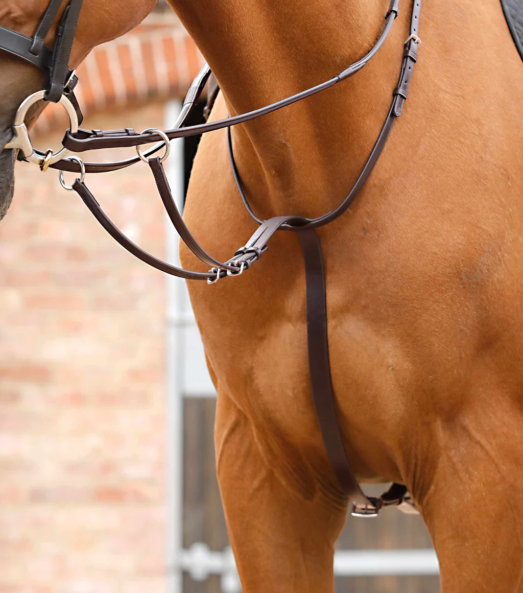 مارتینگل کشویی قابل تنظیم Premier Equine