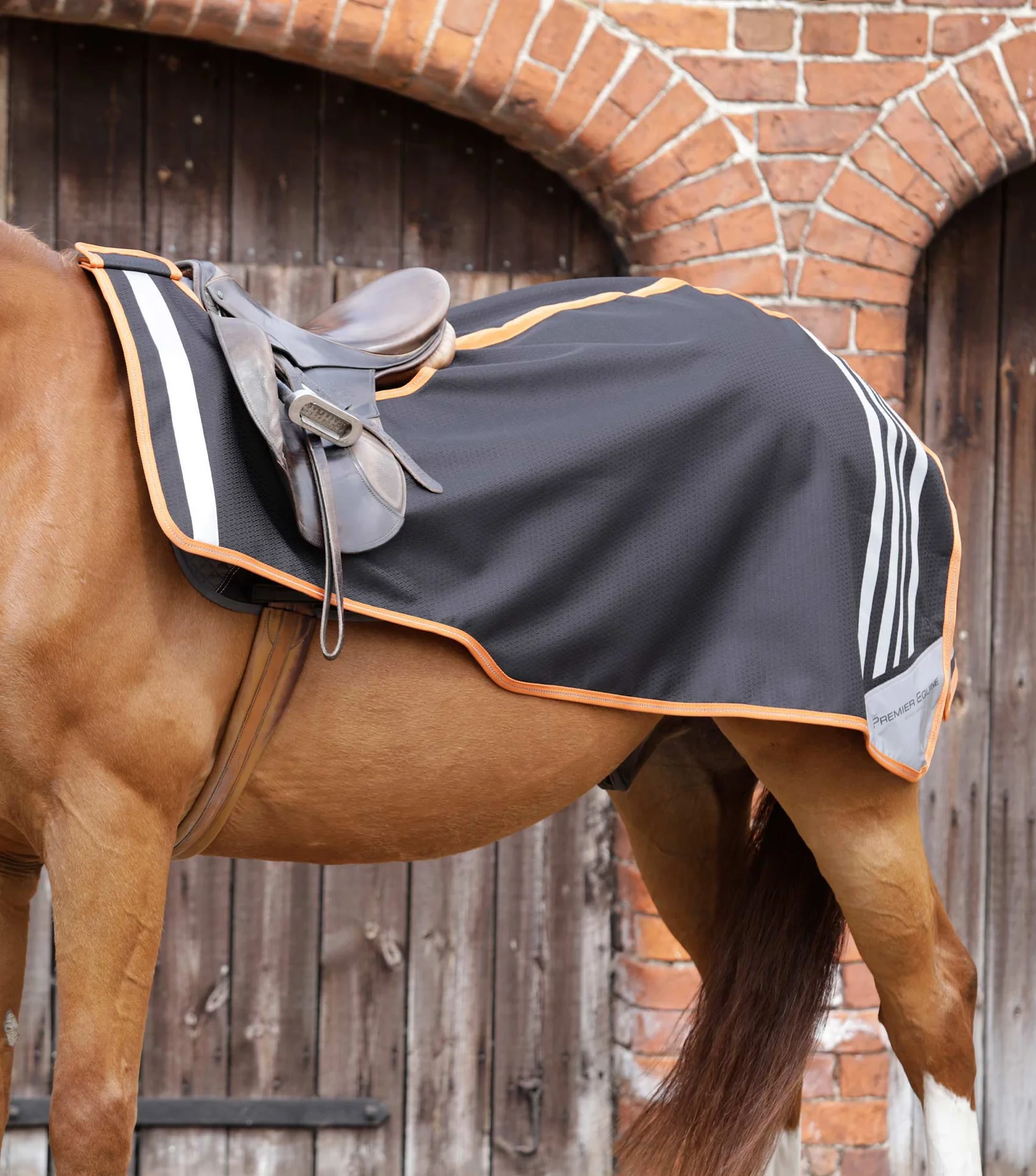 روکش تمرینی Premier Equine مدل Stratus — 2