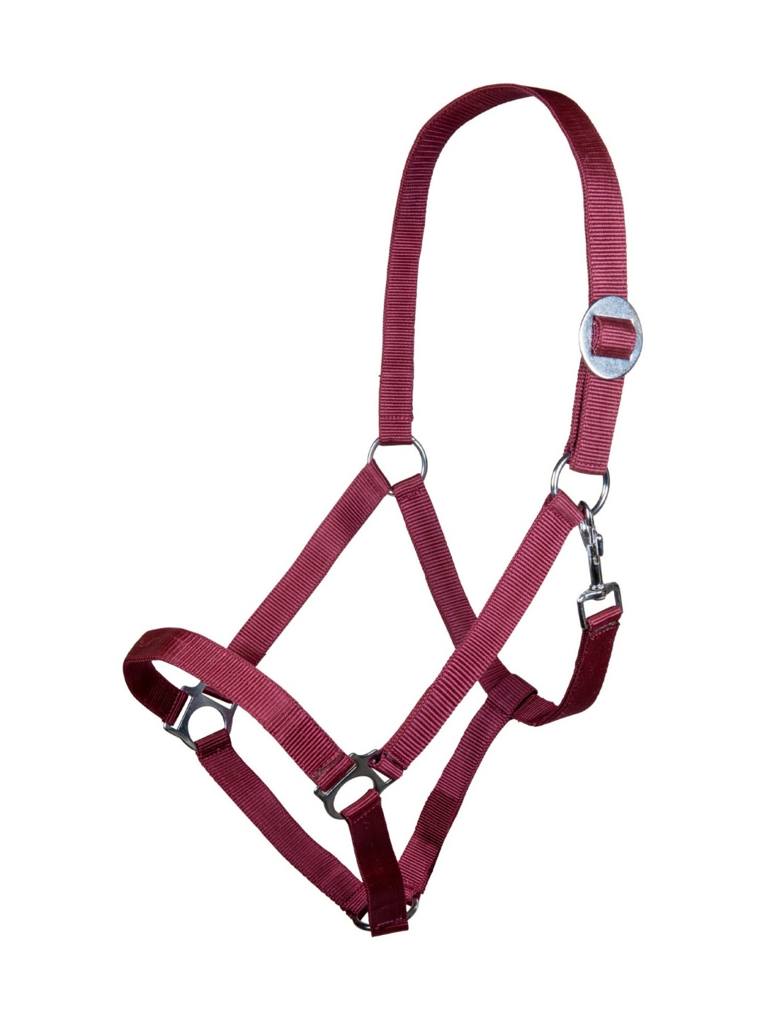 کله‌گی ZiHorse — 3